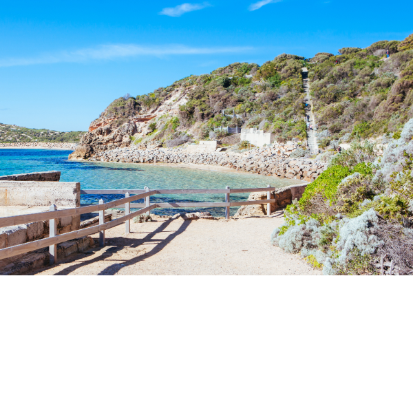 A beach and board walk on Mornington Peninsula in Nepean District
