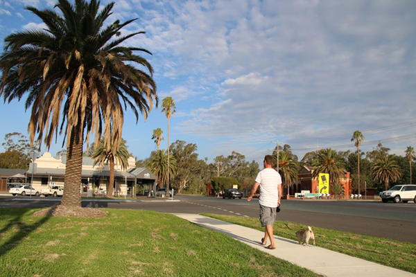 Man walking a dog down a street with a large palm tree