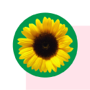 The Hidden Disabilities Sunflower is the symbol for non-visible disabilities, also known as hidden disabilities or invisible disabilities.